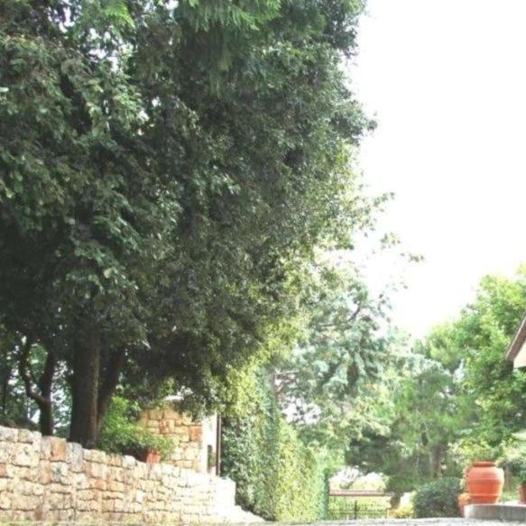 Casa Marisa Villa Vacanza Castellana Grotte Exteriér fotografie
