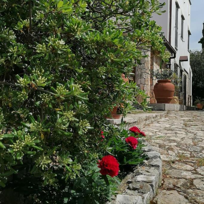 Casa Marisa Villa Vacanza Castellana Grotte Exteriér fotografie