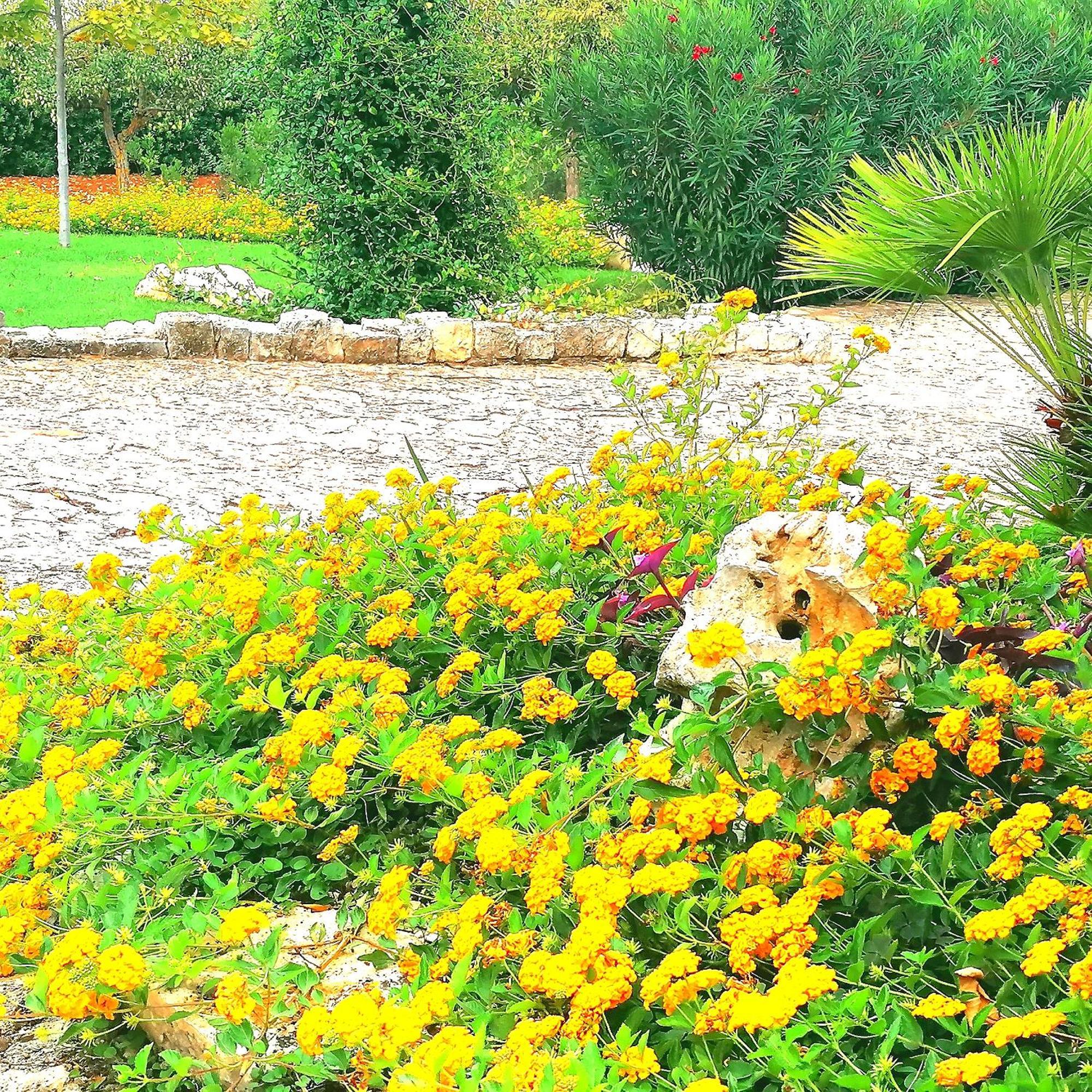 Casa Marisa Villa Vacanza Castellana Grotte Exteriér fotografie
